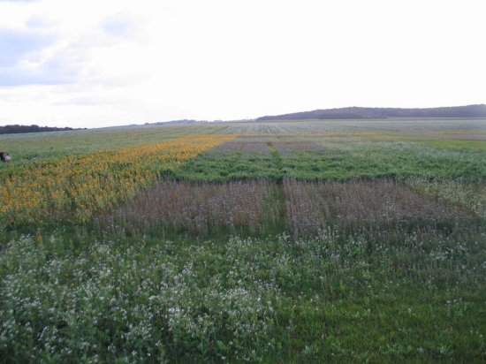 Automne 2006